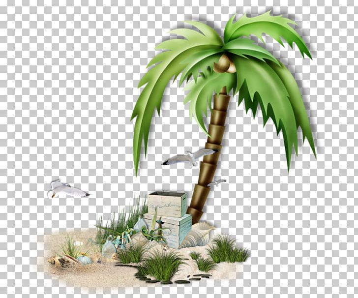 Arecaceae Sea Coconut Tree PNG, Clipart, Arecaceae, Arecales, Breaking Wave, Cartoon, Coconut Free PNG Download