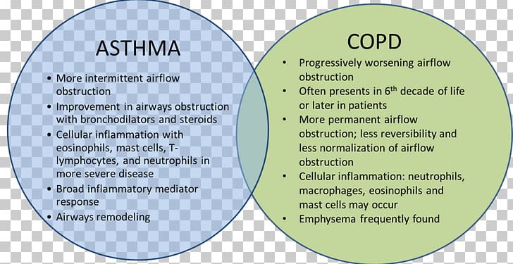 Chronic Obstructive Pulmonary Disease Asthma Bronchitis Cough Respiratory Disease PNG, Clipart, Bronchitis, Bronchodilator, Bronchus, Chronic Condition, Cough Free PNG Download