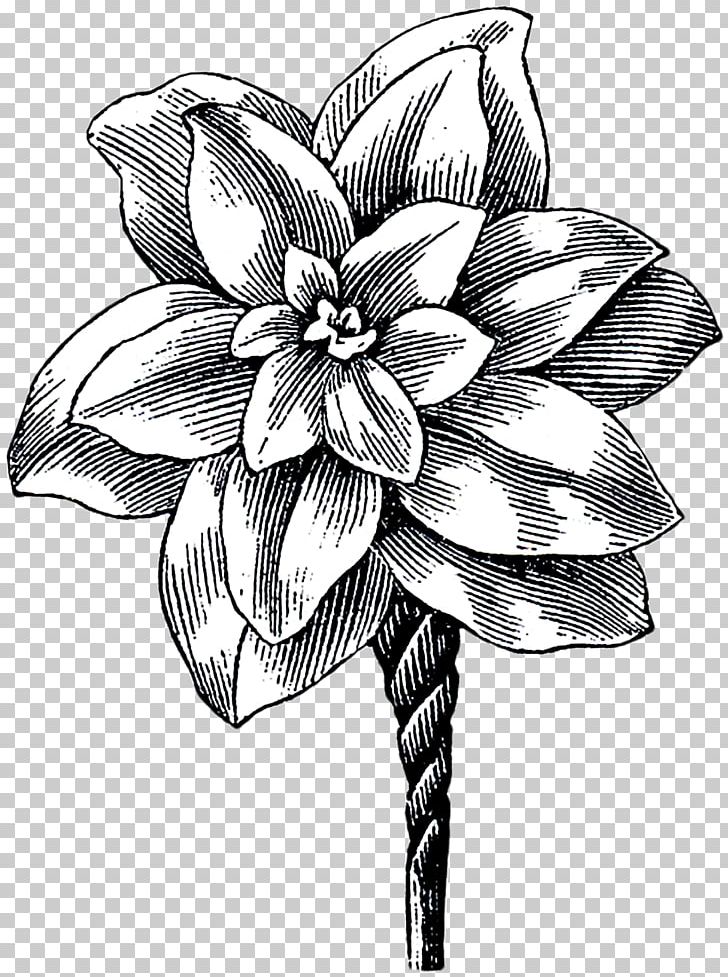 Floral Design Cut Flowers Sketch Monochrome PNG, Clipart,  Free PNG Download