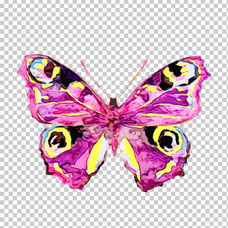 Cynthia (subgenus) Butterfly Insect Pink Moths And Butterflies PNG, Clipart, Butterfly, Cynthia Subgenus, Insect, Moth, Moths And Butterflies Free PNG Download