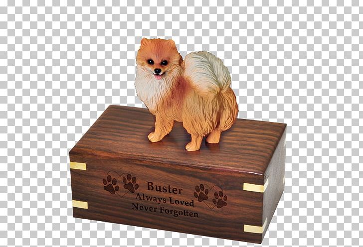German Spitz Klein Pomeranian Puppy Dog Breed PNG, Clipart, Box, Carnivoran, Companion Dog, Cremation, Dog Free PNG Download