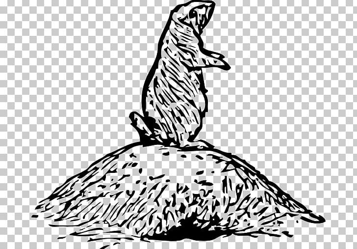 Rodent Vertebrate The Prairie Dog PNG, Clipart, Animal Figure, Animals, Art, Big Cats, Bird Free PNG Download