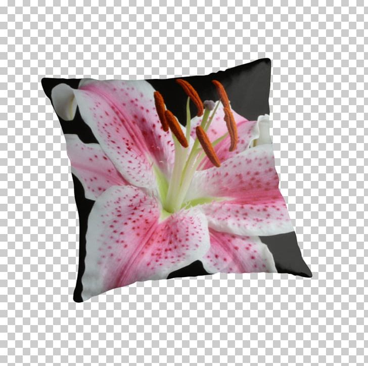 Throw Pillows Cushion Lily 'Stargazer' Lilium PNG, Clipart,  Free PNG Download
