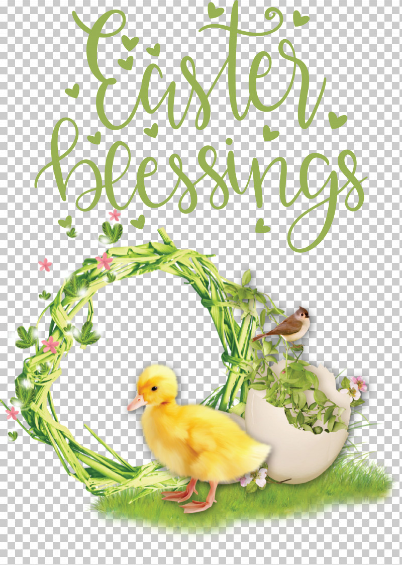 Duck Birds Waterfowl Beak Font PNG, Clipart, Beak, Biology, Birds, Duck, Flower Free PNG Download