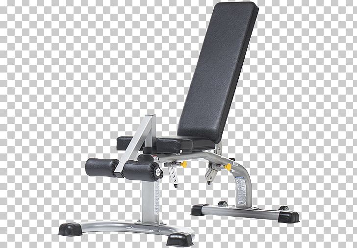 Bench TuffStuff Fitness International Inc. Exercise Equipment Fitness Centre Strength Training PNG, Clipart,  Free PNG Download