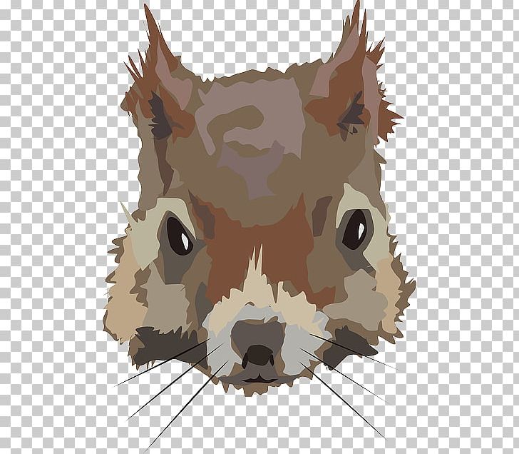 Dog Squirrel Felidae Chipmunk Rodent PNG, Clipart, American Red Squirrel, Animal, Animals, Art, Canidae Free PNG Download