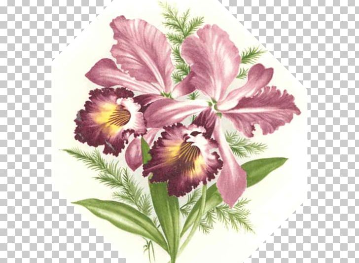 Floral Design Cut Flowers Violet Petal PNG, Clipart, Cut Flowers, Family, Floral Design, Flower, Flower Arranging Free PNG Download