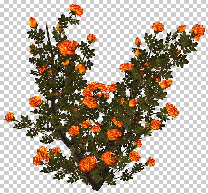 Shrub Flower Floral Design Blog PNG, Clipart, Annual Plant, Blog, Branch, Cut Flowers, Floral Design Free PNG Download