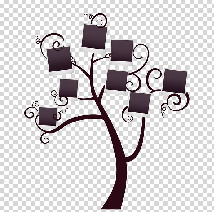 Continental Tree Photo Wall PNG, Clipart, Brand, Chart, Decorative Patterns, Design, Family Free PNG Download