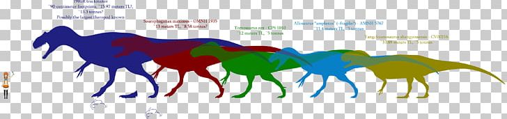 Dinosaur Size Carcharodontosaurus Allosaurus Tyrannosaurus Saurophaganax PNG, Clipart, Allosaurus, Area, Art, Computer Wallpaper, Fictional Character Free PNG Download