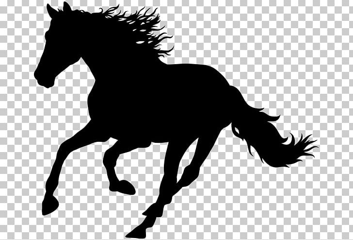 Horse PNG, Clipart, Animals, Black And White, Bridle, Colt, Encapsulated Postscript Free PNG Download