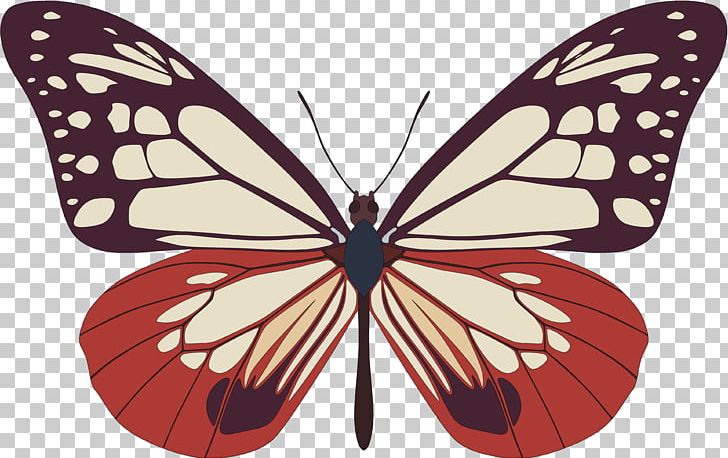 Butterfly PNG, Clipart, Art, Arthropod, Brush Footed Butterfly, Butterfly, Insect Free PNG Download