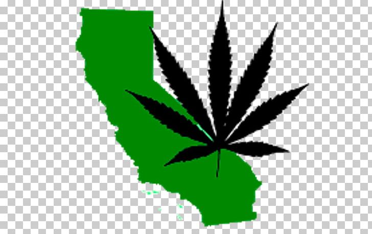 Cannabis In California Medical Cannabis Adult Use Of Marijuana Act Legality Of Cannabis PNG, Clipart, Adult Use Of Marijuana Act, California, Cannabis, Cannabis In California, Cannabis Shop Free PNG Download