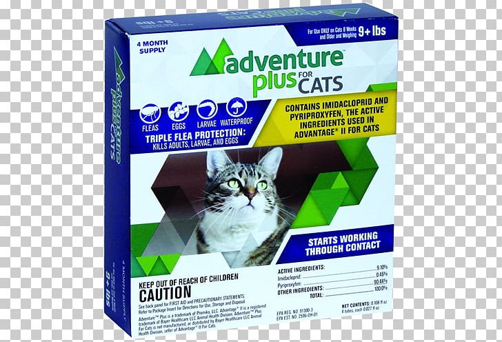 Cat Dog Flea Flea Treatments PNG, Clipart, Big Cat, Cat, Cat Flea, Cat Like Mammal, Collar Free PNG Download