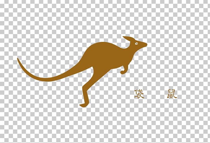 Kangaroo Macropodidae Australia Tonghe Residential District Jumping PNG, Clipart, Animal, Animals, Cartoon Kangaroo, Computer, Computer Software Free PNG Download