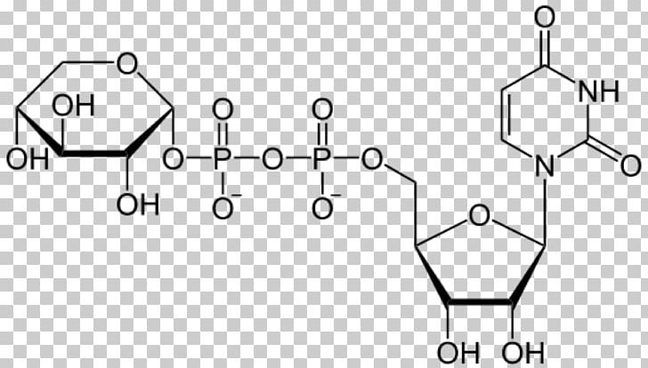 Uridine Triphosphate Uridine Diphosphate Glucose Adenosine Triphosphate PNG, Clipart, Angle, Auto Part, Miscellaneous, Monochrome, Number Free PNG Download