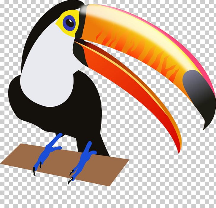 Bird Toucan PNG, Clipart, Beak, Bird, Bird Flight, Bird Of Prey, Columbidae Free PNG Download
