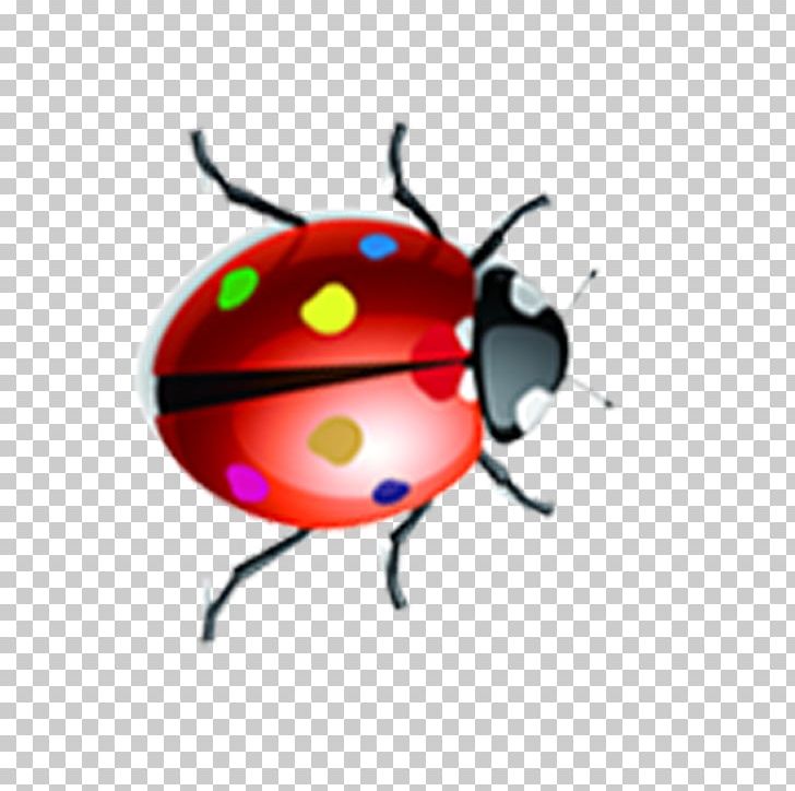 Ladybird Insect Drawing PNG, Clipart, Animal, Animals, Animation, Balloon Cartoon, Boy Cartoon Free PNG Download