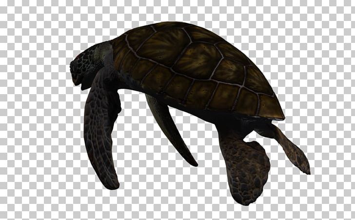 Pond Turtles 3D Computer Graphics Sea Turtle Deep Sea Creature PNG, Clipart, 3d Computer Graphics, Animal, Animals, Art, Deep Sea Creature Free PNG Download