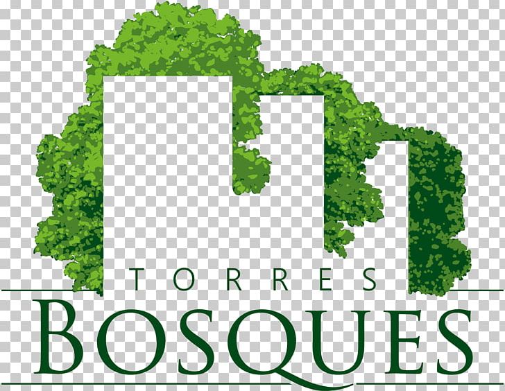 Torres Bosques House Apartment Bathroom Real Estate PNG, Clipart, Apartment, Architectural Engineering, Area, Bathroom, Brand Free PNG Download