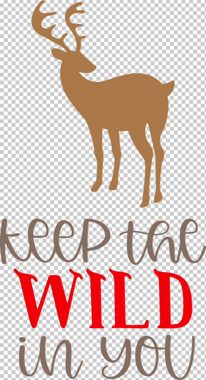 Reindeer PNG, Clipart, Antler, Biology, Deer, Dog, Keep Wild Free PNG Download
