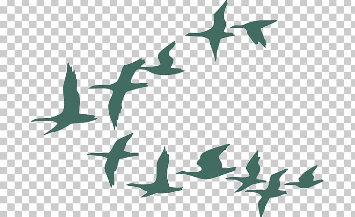 Bird Migration Goose Flock PNG, Clipart, Animal Migration, Bird, Bird Flight, Bird Migration, Bird Of Prey Free PNG Download
