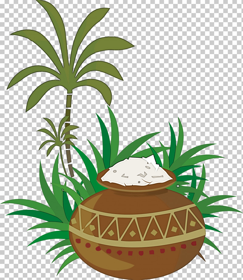 Pongal PNG, Clipart, Coconut, Flower, Hosur, Idea, Pongal Free PNG Download