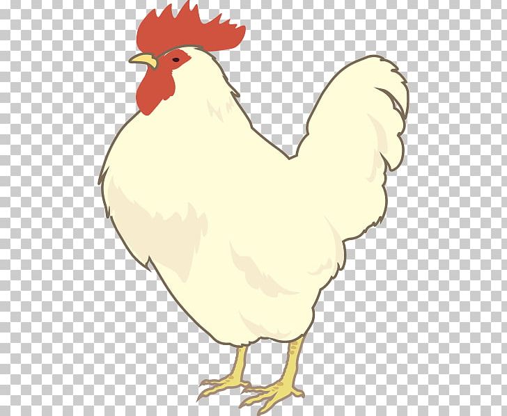 Rooster Leghorn Chicken Portable Network Graphics Foghorn Leghorn PNG, Clipart, Animal Figure, Artwork, Beak, Bird, Chicken Free PNG Download