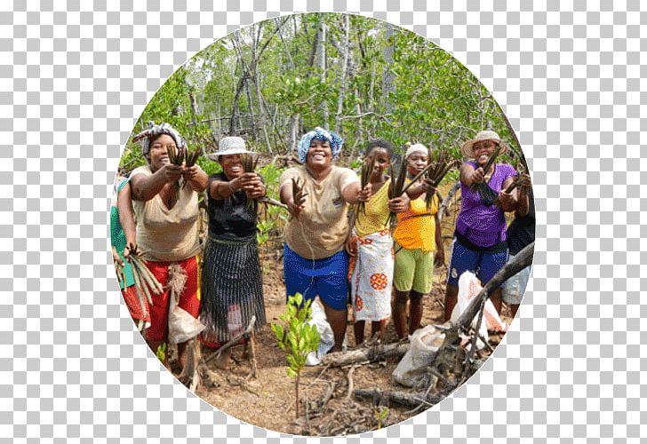 Tree Eden Reforestation Projects Madagascar Deforestation PNG, Clipart, Adventure, Community, Deforestation, Forest, Jungle Free PNG Download