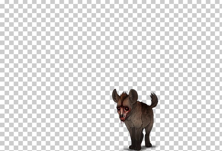 Cat Dog Mammal Canidae Carnivora PNG, Clipart, Animal, Animals, Canidae, Carnivora, Carnivoran Free PNG Download