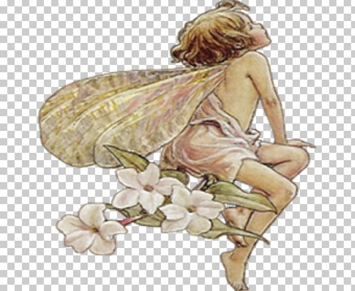 Fairy Public Domain Flower Fairies PNG, Clipart, Alphabet, Angel, Art, Costume Design, Fairy Free PNG Download