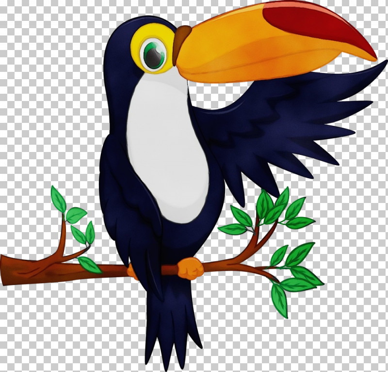 Bird Toucan Beak Piciformes PNG, Clipart, Beak, Bird, Paint, Piciformes, Toucan Free PNG Download