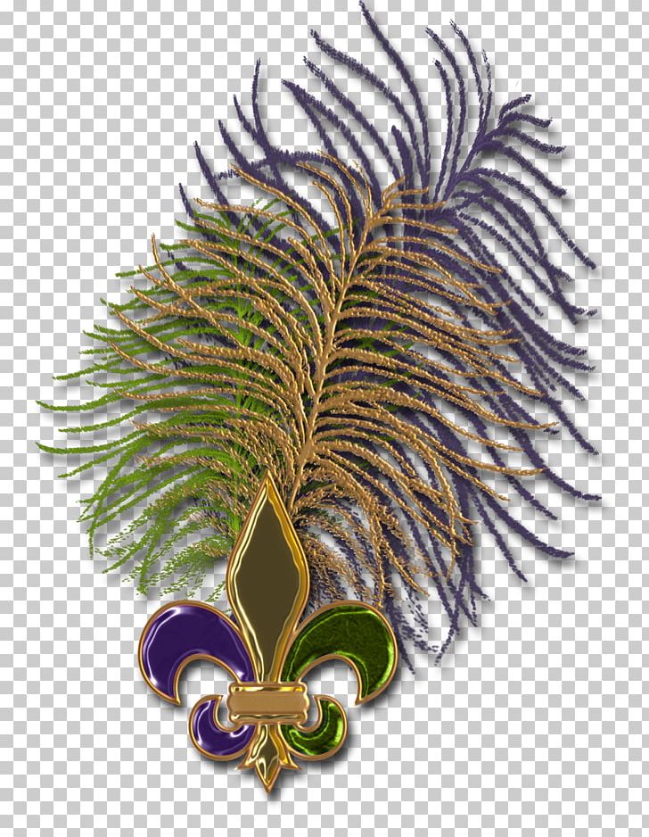 Arecaceae Tree PNG, Clipart, Arecaceae, Arecales, Feather, Others, Palm Tree Free PNG Download
