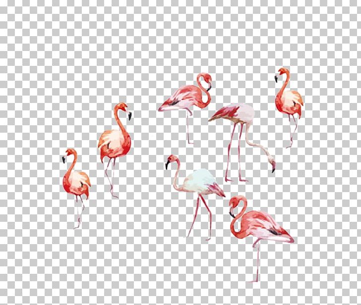 Flamingo Watercolor Painting Art Illustration PNG, Clipart, Animals, Art, Beak, Bird, Cartoon Flamingo Free PNG Download