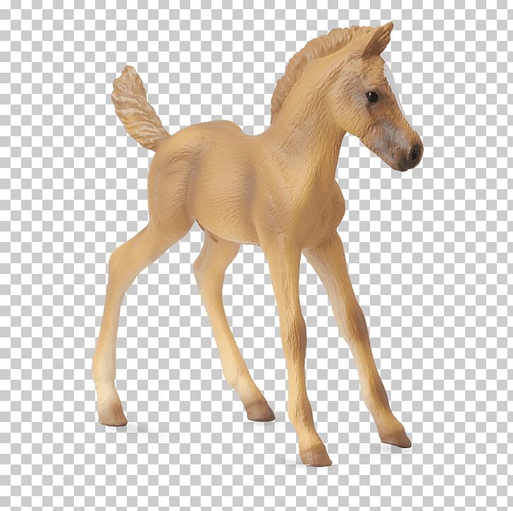 Haflinger Foal Stallion Pony Mare PNG, Clipart, Animal Figure, Breed, Colt, Figurine, Foal Free PNG Download