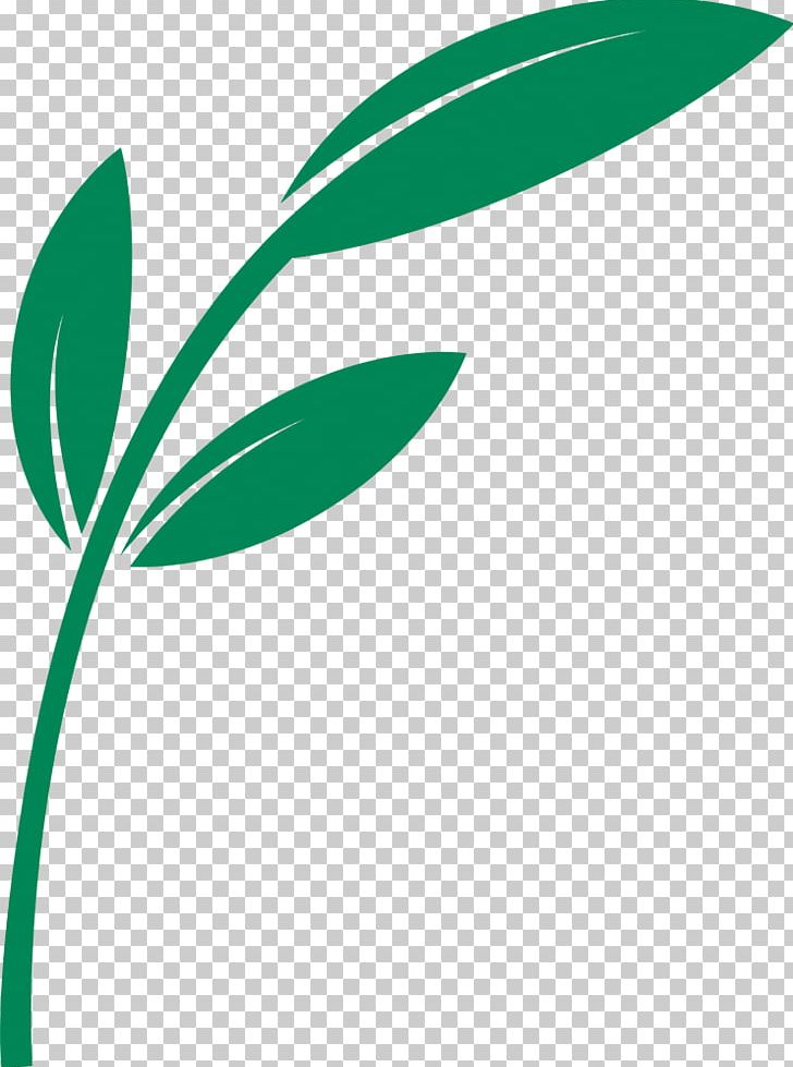 Leaf Plant Stem Line Logo PNG, Clipart, Grass, Green, Leaf, Line, Logo Free PNG Download