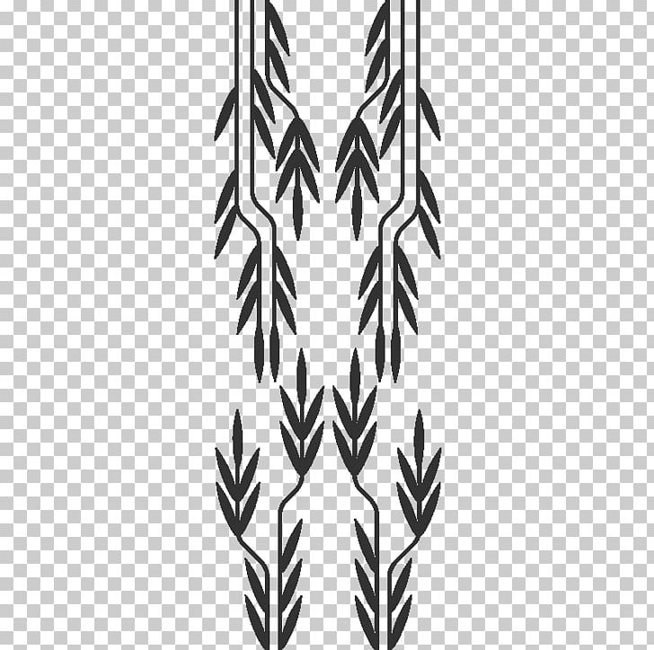 Leaf White Line Art Symmetry Flowering Plant PNG, Clipart, Angle, Black, Black And White, Flora, Flowering Plant Free PNG Download