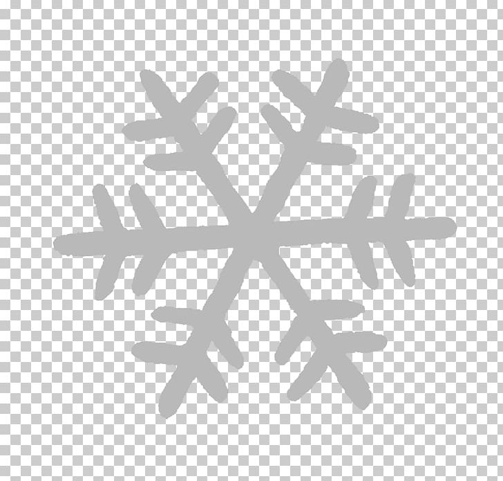 Snowflake Silhouette Light PNG, Clipart, Angle, Black And White, Brand, Circle, Computer Wallpaper Free PNG Download