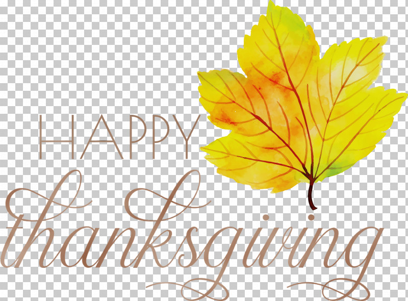 Thanksgiving PNG, Clipart, Biology, Happy Thanksgiving, Leaf, Logo, Meter Free PNG Download