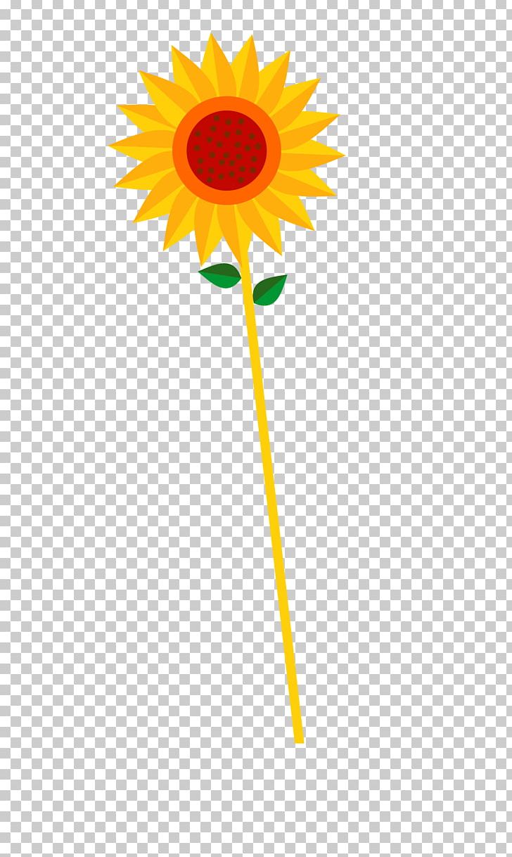 Common Sunflower Euclidean PNG, Clipart, Adobe Illustrator, Daisy Family, Encapsulated Postscript, Flower, Flowers Free PNG Download