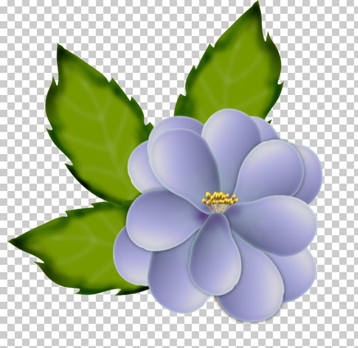 Flower Petal Painting PNG, Clipart, Aquatic Plant, Blume, Drawing, Flower, Flowering Plant Free PNG Download