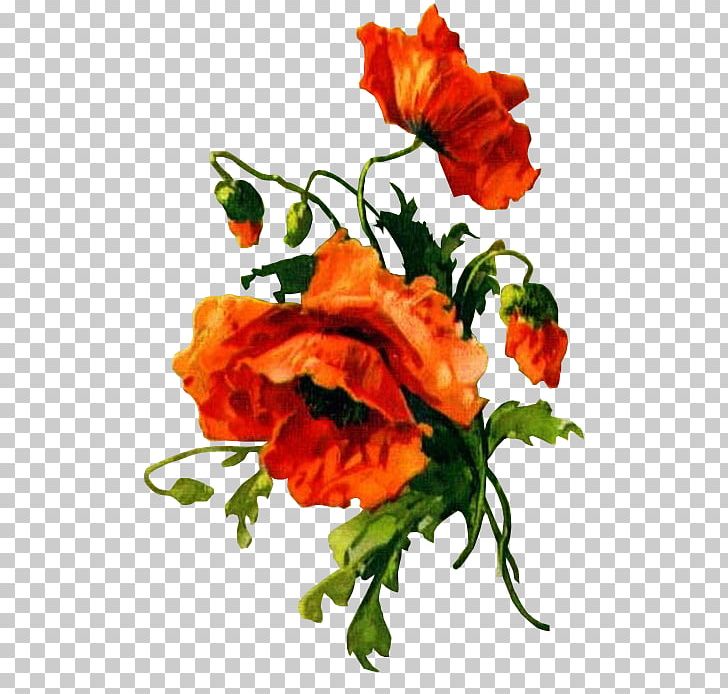 Garden Roses Poppy Garland Of Flowers Painting PNG, Clipart, Annual Plant, Cicek, Cicek Resimleri, En Guzel Guller, Floral Design Free PNG Download