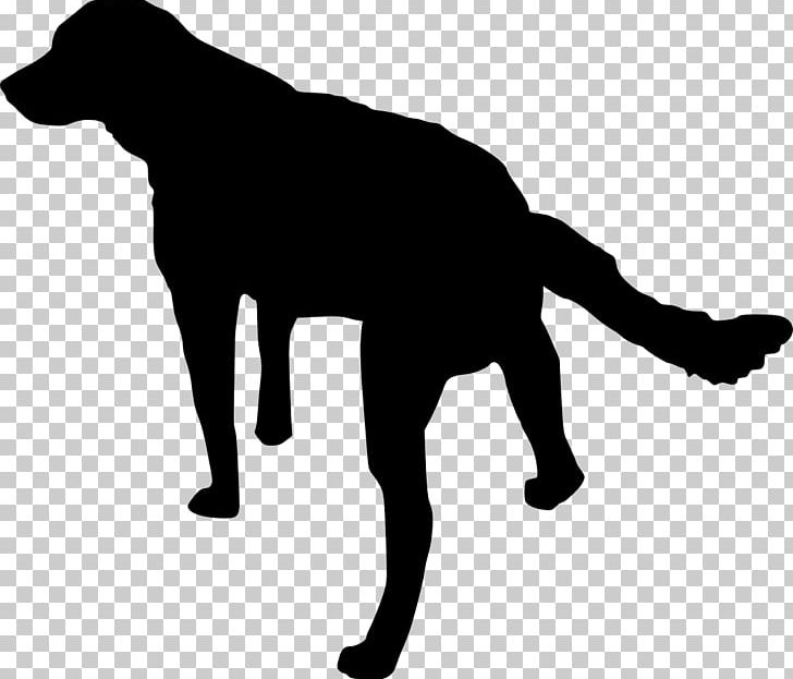 Dog Puppy PNG, Clipart, Animal, Animals, Black, Black And White, Canidae Free PNG Download