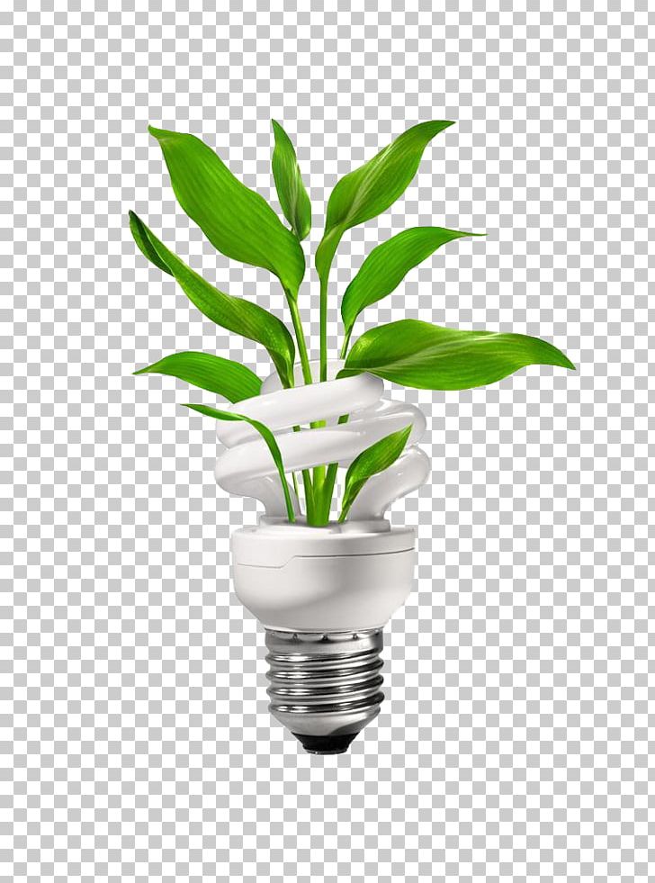 Energy Conservation Energy Engineering PNG, Clipart, Bulb, Creative, Efficient Energy Use, Electric Light, Energy Saving Free PNG Download