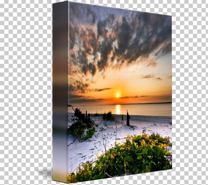 Shore Work Of Art Beach Sea PNG, Clipart, Art, Beach, Beach At Sunset, Calm, Coast Free PNG Download
