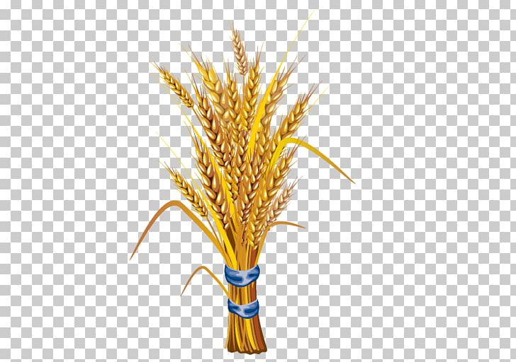 Wheat Stock Illustration Illustration PNG, Clipart, Blue, Brown Rice, Commodity, Drawing, Food Drinks Free PNG Download