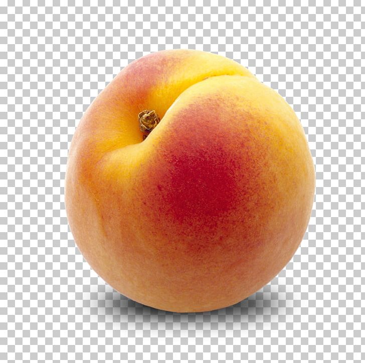 Apricot Fruit Desktop Eating Peach PNG, Clipart, Apple, Apricot, Apricot Kernel, Desktop Wallpaper, Diet Food Free PNG Download