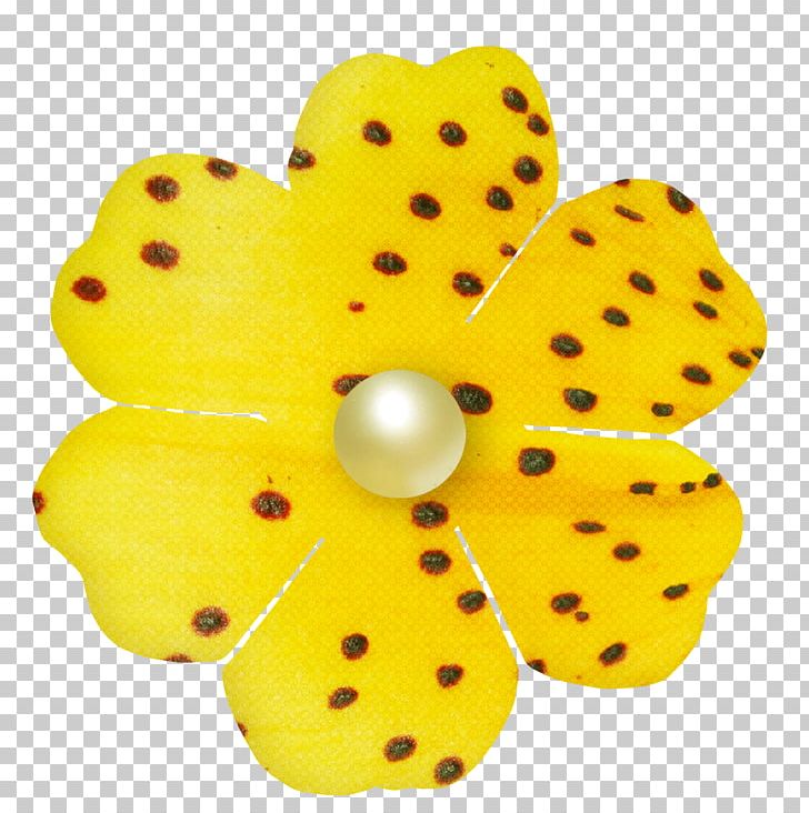 Petal Flower Color PNG, Clipart, Clip Art, Color, Elements, Flower, Nature Free PNG Download