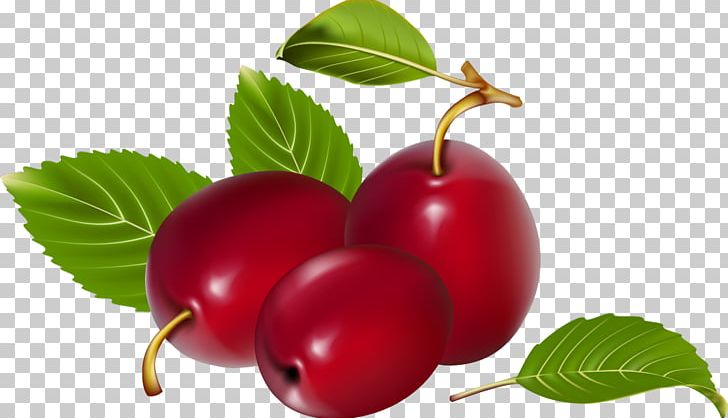 Berry Fruit PNG, Clipart, Berry, Cherry, Cranberry, Currant, Date Free PNG Download