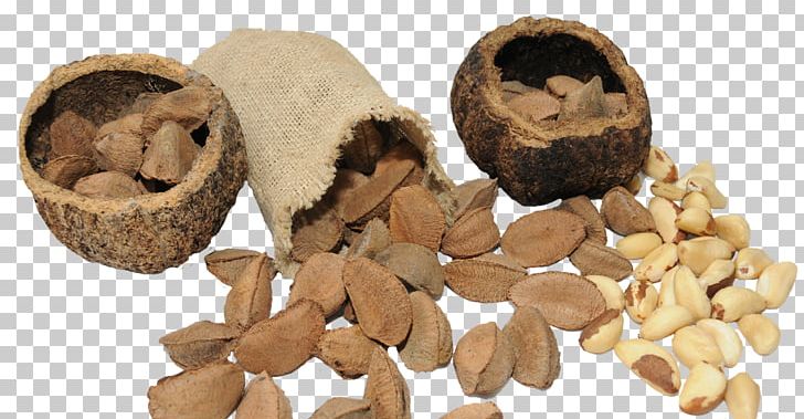 Brazil Nut Vitamin Chestnut Seed PNG, Clipart, Brazil Nut, Chestnut, Commodity, Food, Health Free PNG Download